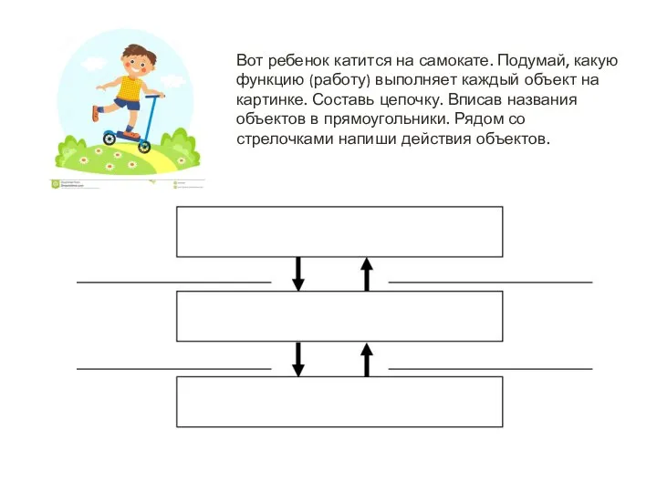 Вот ребенок катится на самокате. Подумай, какую функцию (работу) выполняет каждый