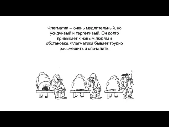 Флегматик — очень медлительный, но усидчивый и терпеливый. Он долго привыкает