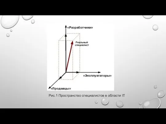 Рис.1 Пространство специалистов в области IT