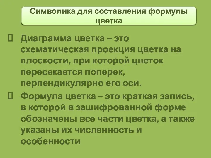 Диаграмма цветка – это схематическая проекция цветка на плоскости, при которой