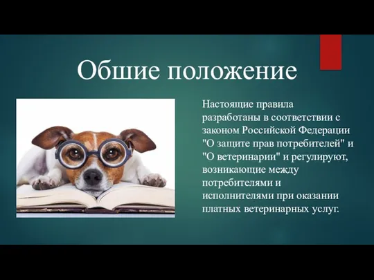 Обшие положение Настоящие правила разработаны в соответствии с законом Российской Федерации