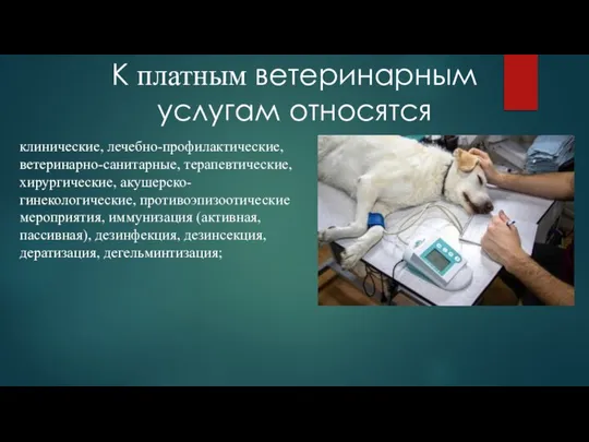 К платным ветеринарным услугам относятся клинические, лечебно-профилактические, ветеринарно-санитарные, терапевтические, хирургические, акушерско-гинекологические,