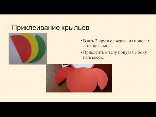 Приклеивание крыльев Взять 2 круга сложить из пополам -это крылья. Приклеить