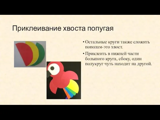 Приклеивание хвоста попугая Остальные круги также сложить пополам-это хвост. Приклеить в