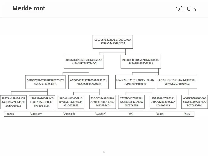 Merkle root