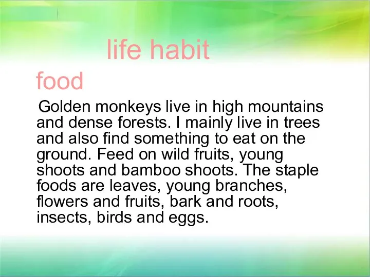 life habit food Golden monkeys live in high mountains and dense