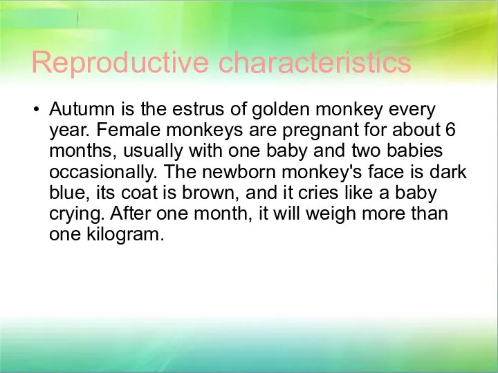 Reproductive characteristics Autumn is the estrus of golden monkey every year.