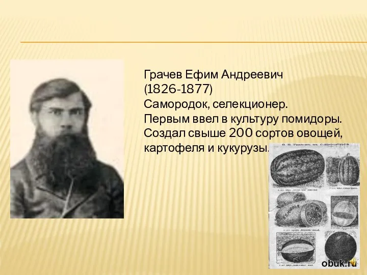 Грачев Ефим Андреевич (1826-1877) Самородок, селекционер. Первым ввел в культуру помидоры.