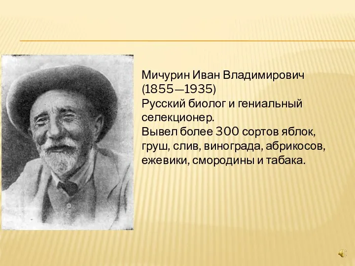 Мичурин Иван Владимирович (1855—1935) Русский биолог и гениальный селекционер. Вывел более