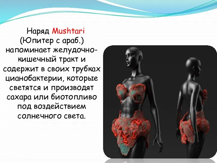 Наряд Mushtari (Юпитер с араб.) напоминает желудочно-кишечный тракт и содержит в