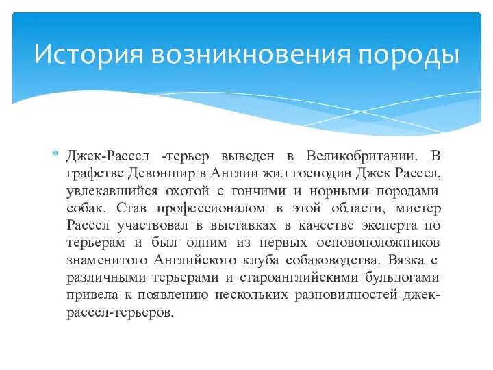 Джек-Рассел -терьер выведен в Великобритании. В графстве Девоншир в Англии жил