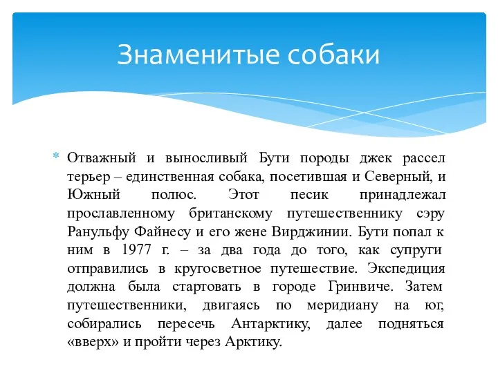 Отважный и выносливый Бути породы джек рассел терьер – единственная собака,