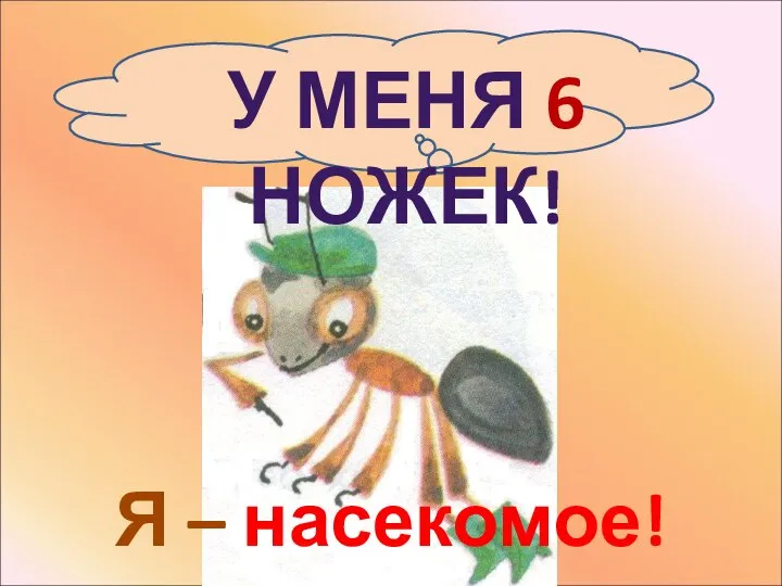 У МЕНЯ 6 НОЖЕК! Я – насекомое!