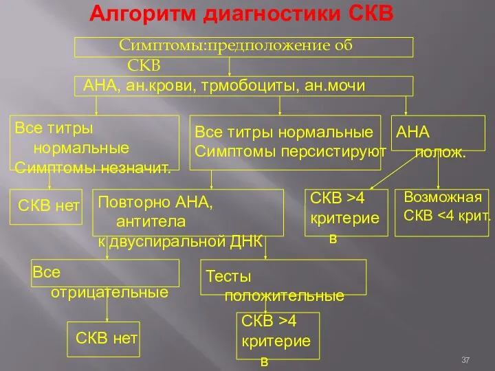 Алгоритм диагностики СКВ Симптомы:предположение об СКВ АНА, ан.крови, трмобоциты, ан.мочи Тесты