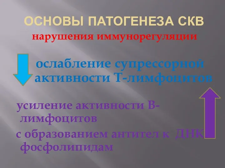 ОСНОВЫ ПАТОГЕНЕЗА СКВ нарушения иммунорегуляции ослабление супрессорной активности Т-лимфоцитов усиление активности