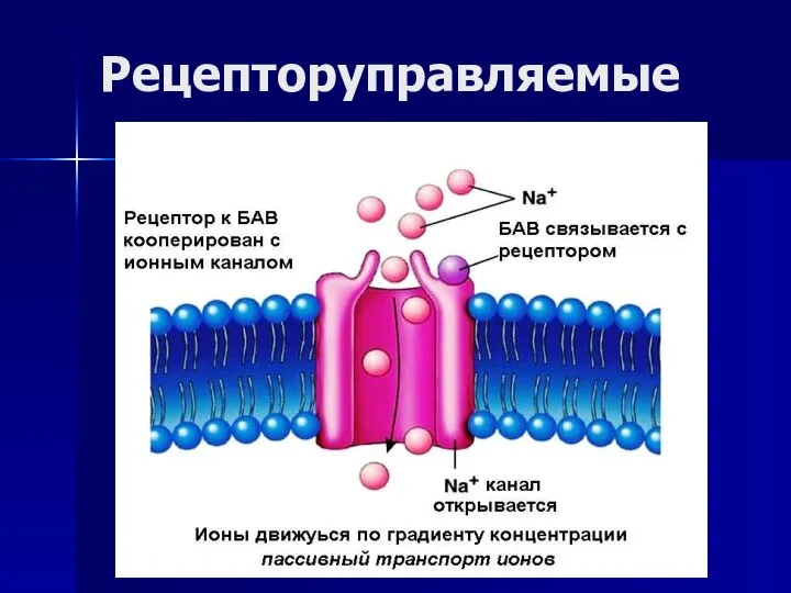 Рецепторуправляемые