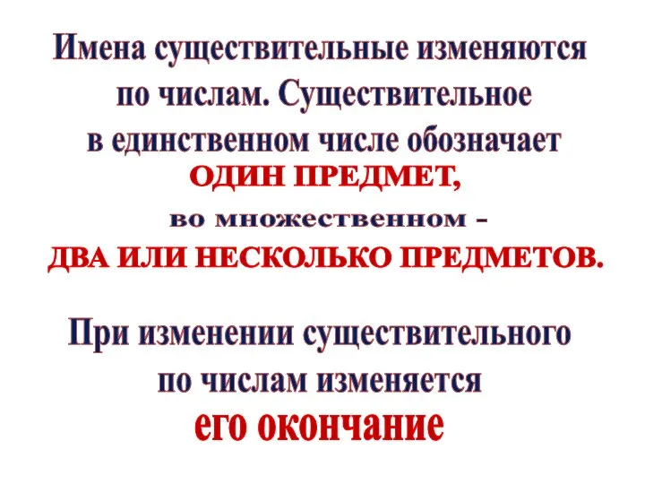 Имена существительные изменяются по числам. Существительное в единственном числе обозначает ОДИН