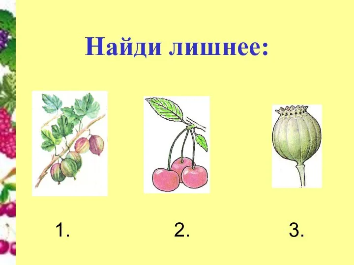 Найди лишнее: 1. 2. 3.