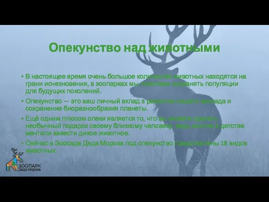 Опекунство над животными В настоящее время очень большое количество животных находятся