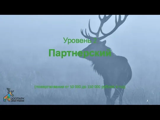 Партнерский (пожертвование от 50 000 до 150 000 рублей в год) Уровень 2