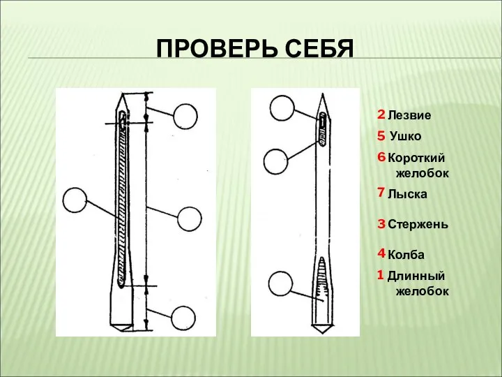 ПРОВЕРЬ СЕБЯ 1 2 3 4 7 6 5 Лезвие Ушко