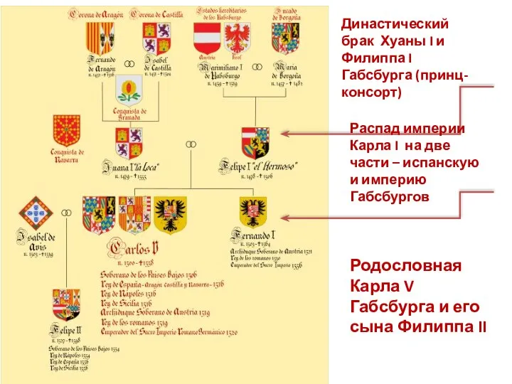 Родословная Карла V Габсбурга и его сына Филиппа II Династический брак