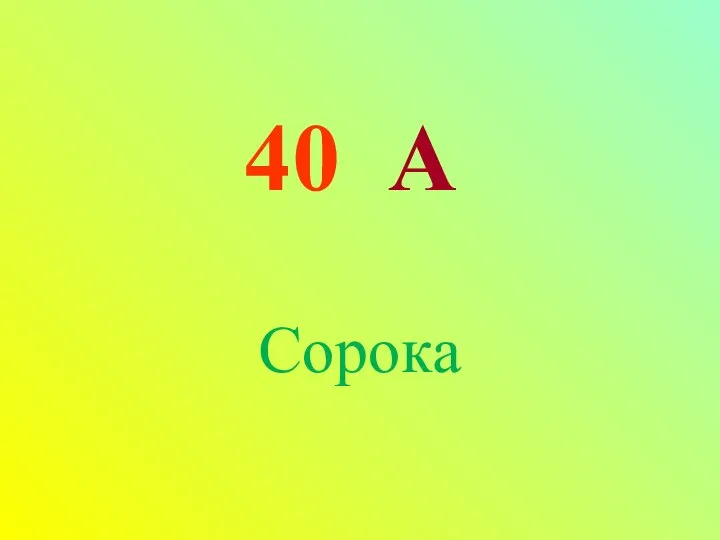 40 А Сорока