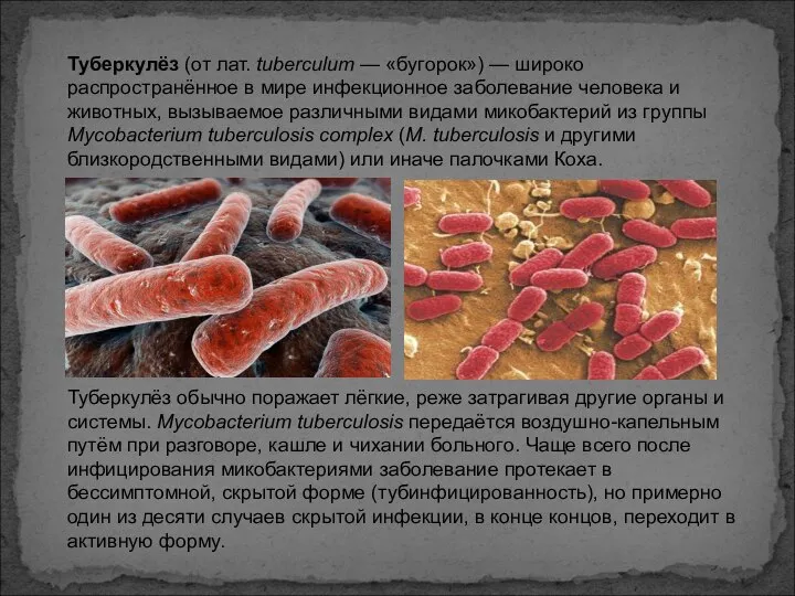 Туберкулёз (от лат. tuberculum — «бугорок») — широко распространённое в мире
