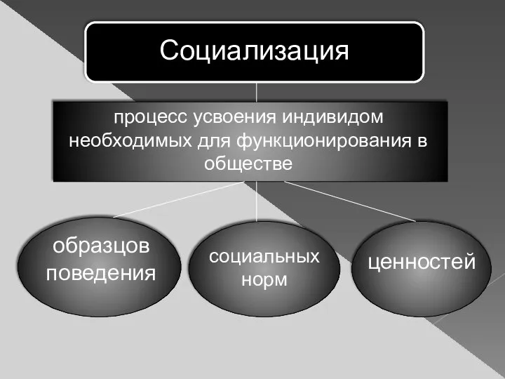 Социализация процесс усвоения индивидом необходимых для функционирования в обществе образцов поведения социальных норм ценностей