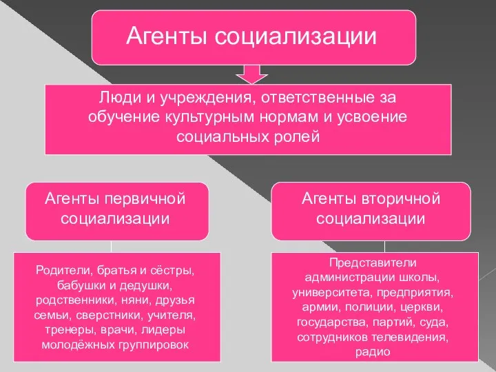 Агенты социализации Люди и учреждения, ответственные за обучение культурным нормам и