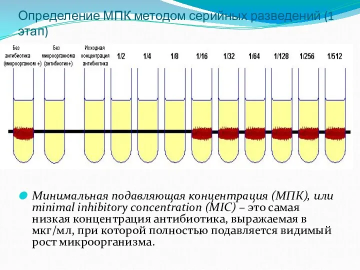 Определение МПК методом серийных разведений (1 этап) Минимальная подавляющая концентрация (МПК),