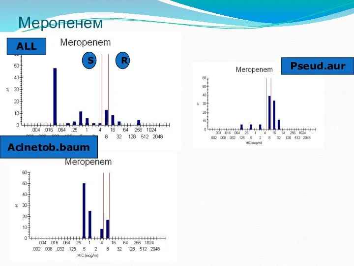 Меропенем ALL Pseud.aur Acinetob.baum R S