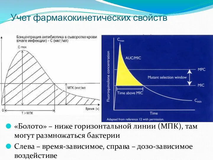 Учет фармакокинетических свойств «Болото» – ниже горизонтальной линии (МПК), там могут