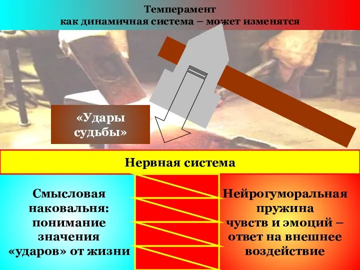 Смысловая наковальня: понимание значения «ударов» от жизни Темперамент как динамичная система