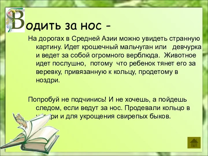 На дорогах в Средней Азии можно увидеть странную картину. Идет крошечный