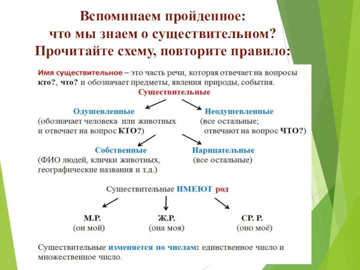 Вспоминаем пройденное: что мы знаем о существительном? Прочитайте схему, повторите правило: