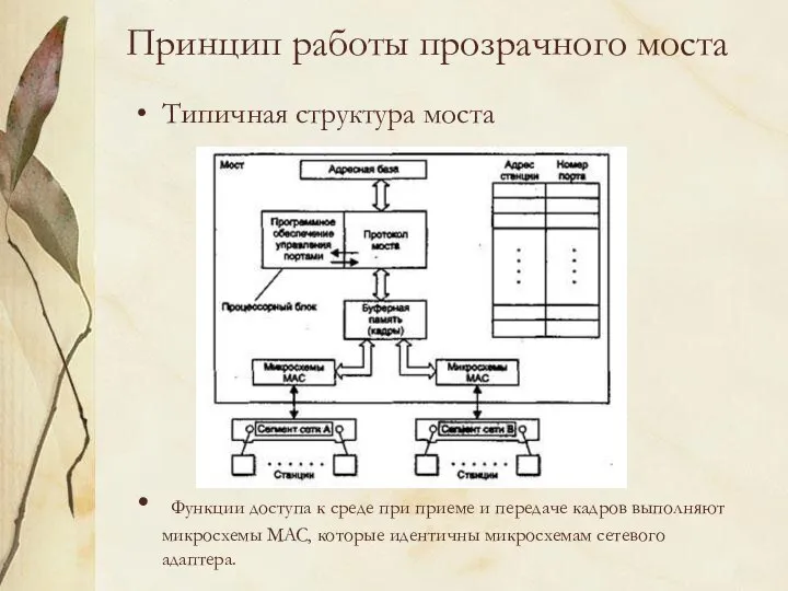 Принцип работы прозрачного моста Типичная структура моста Функции доступа к среде