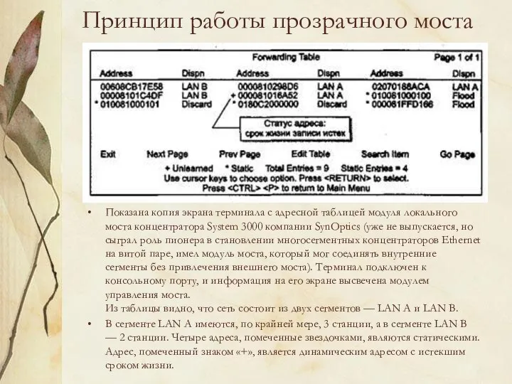 Принцип работы прозрачного моста Показана копия экрана терминала с адресной таблицей