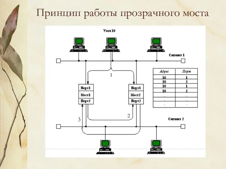 Принцип работы прозрачного моста 1 2 3