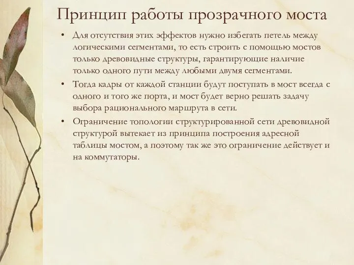 Принцип работы прозрачного моста Для отсутствия этих эффектов нужно избегать петель