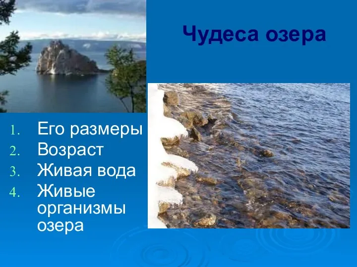 Чудеса озера Его размеры Возраст Живая вода Живые организмы озера