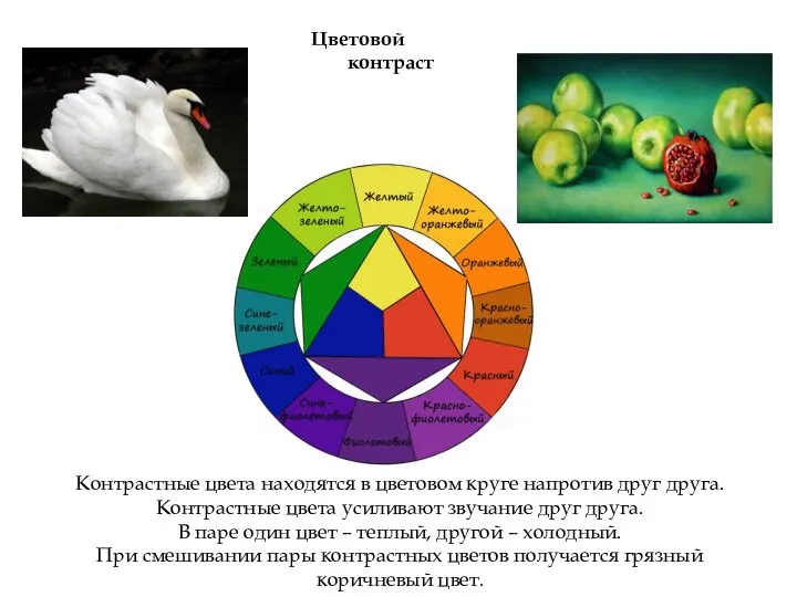 Цветовой контраст Контрастные цвета находятся в цветовом круге напротив друг друга.