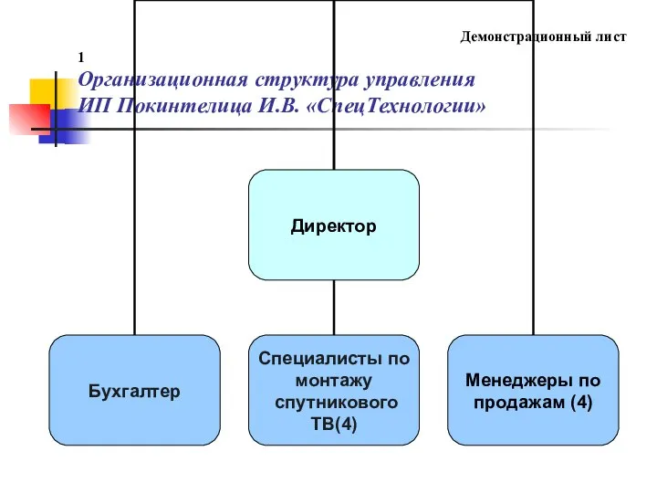 Демонстрационный лист 1 Организационная структура управления ИП Покинтелица И.В. «СпецТехнологии»