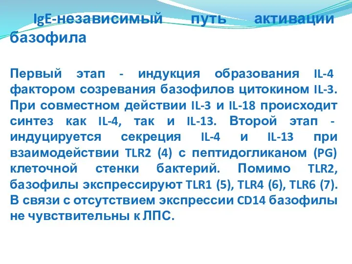 IgE-независимый путь активации базофила Первый этап - индукция образования IL-4 фактором