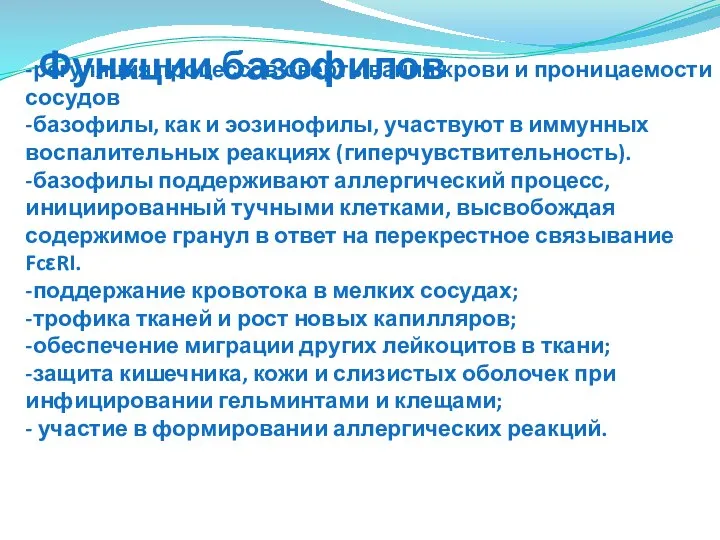 -регуляция процессов свертывания крови и проницаемости сосудов -базофилы, как и эозинофилы,