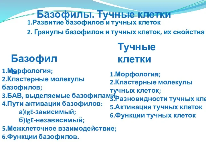 1.Развитие базофилов и тучных клеток 2. Гранулы базофилов и тучных клеток,