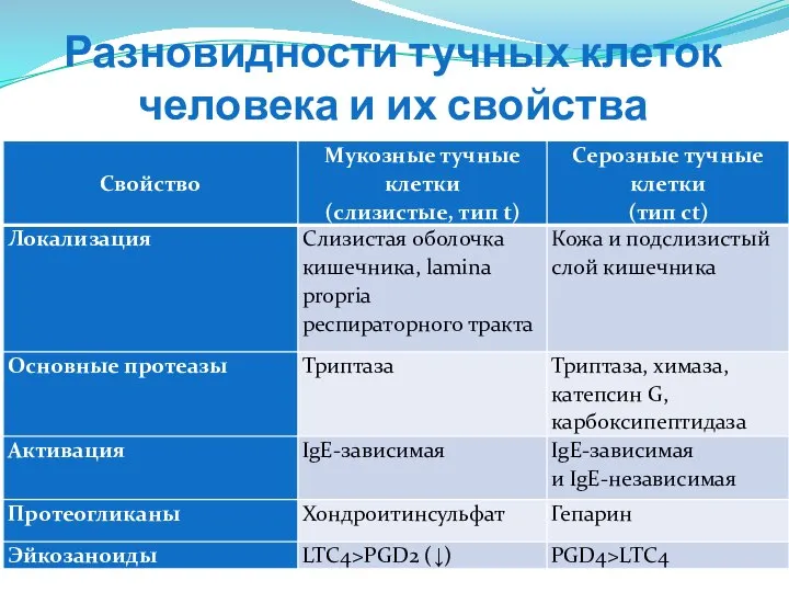 Разновидности тучных клеток человека и их свойства