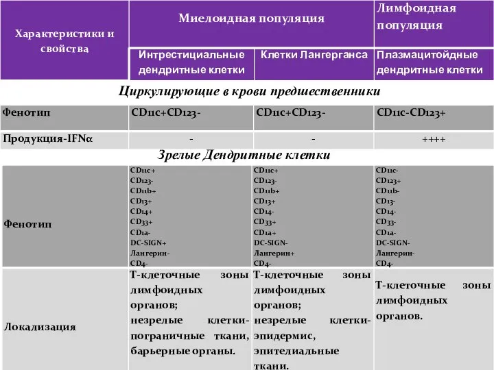 Циркулирующие в крови предшественники Зрелые Дендритные клетки