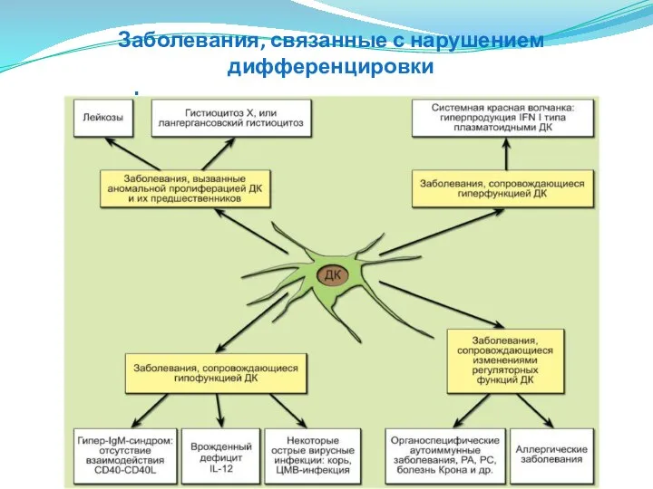 Заболевания, связанные с нарушением дифференцировки и функционирования дендритных клеток