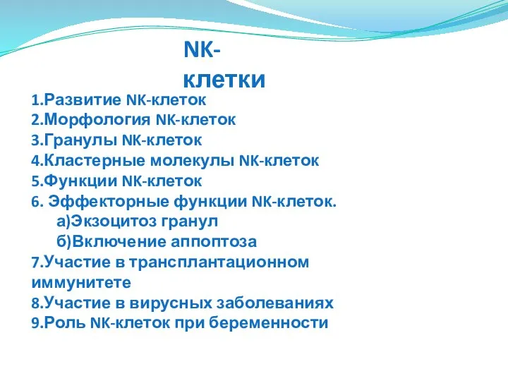 NK-клетки 1.Развитие NK-клеток 2.Морфология NK-клеток 3.Гранулы NK-клеток 4.Кластерные молекулы NK-клеток 5.Функции